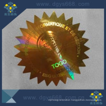 Rainbow Effect Dynamic Laser Sticker